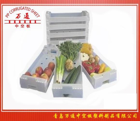 <strong>中空板水果包裝箱</strong>